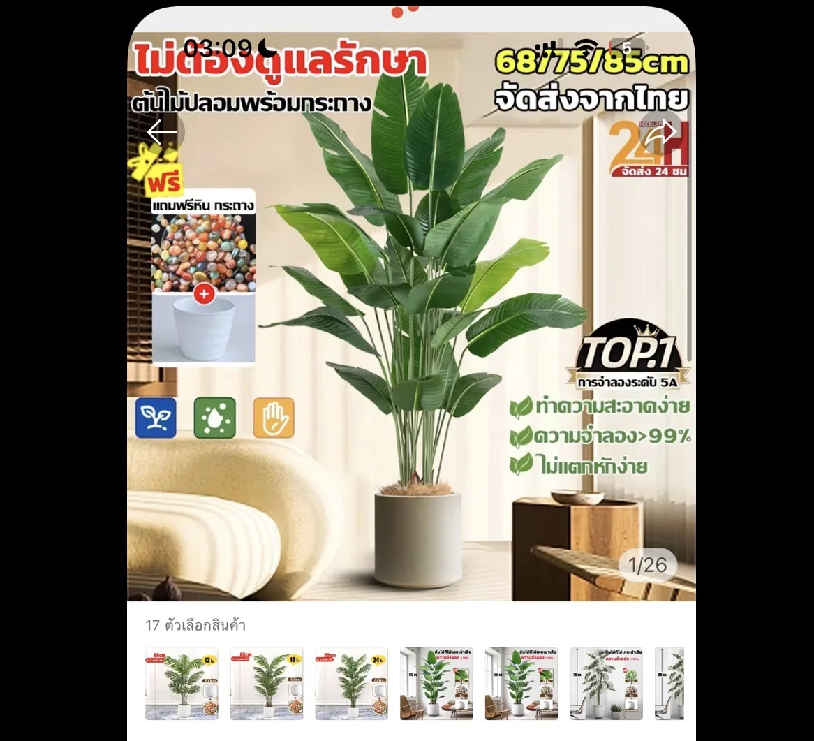 ต้นกล้วยสวรรค์ประดิษฐ์